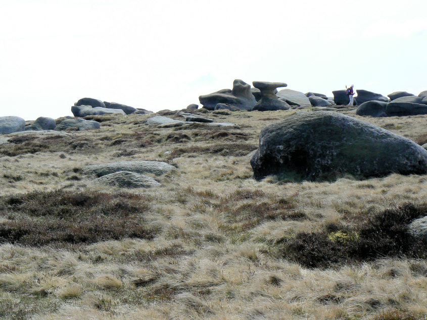 Bleaklow Stones