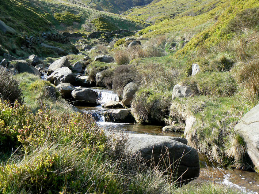 Crowden Brook