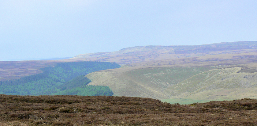 Higher Shelf Stones