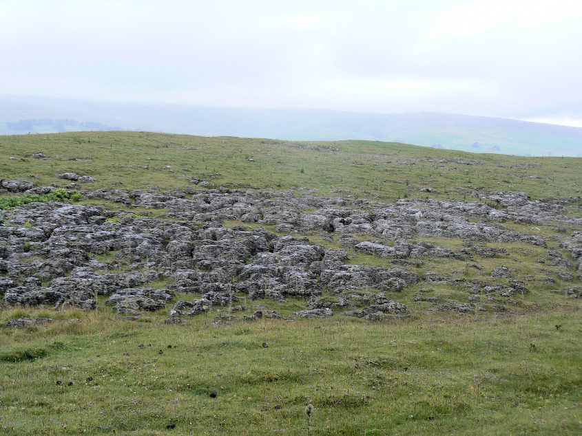 Knipe Scar