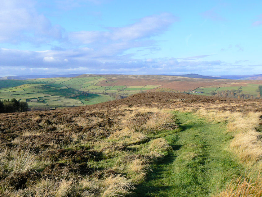 Abney Moor