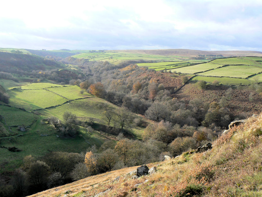 Bretton Clough