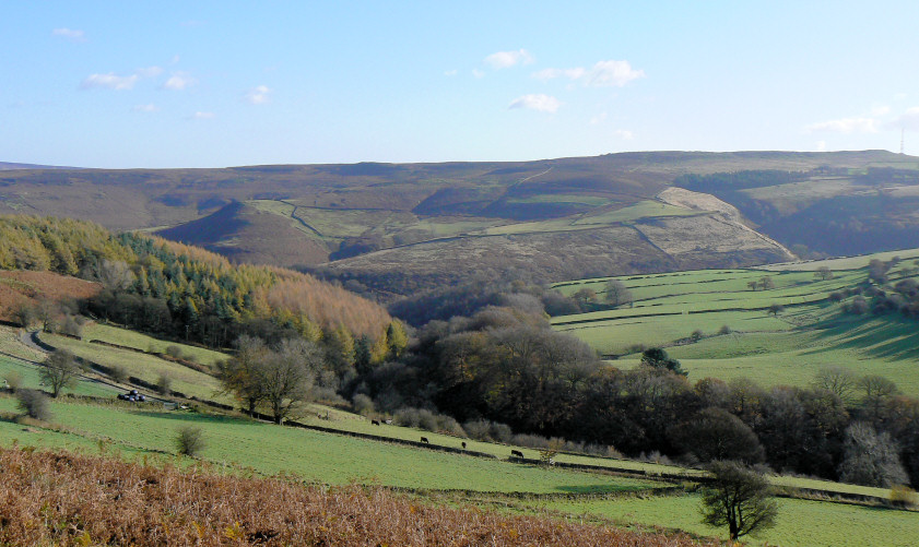 Eyam Moor