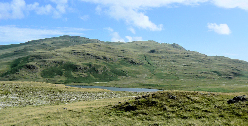 White Pike & Woodend Height