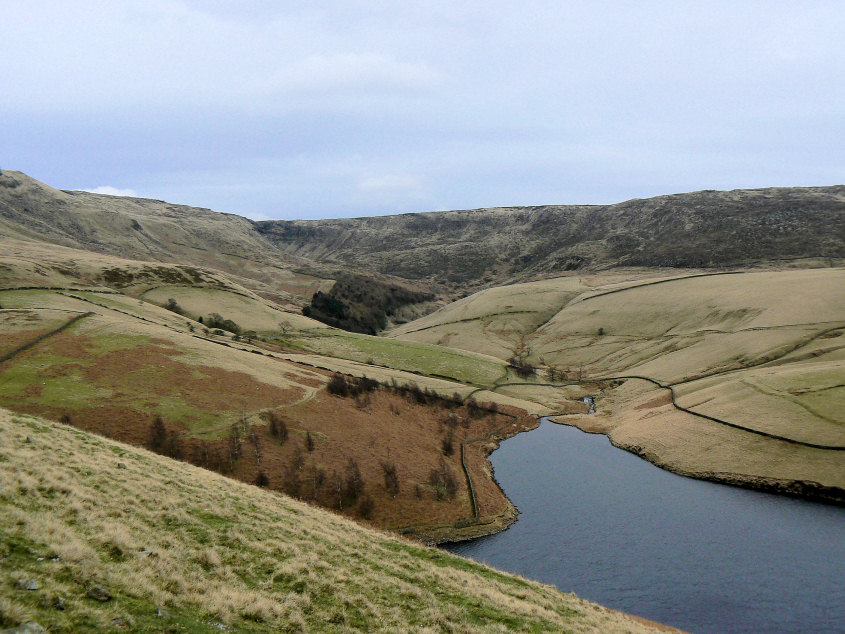 Kinder Downfall