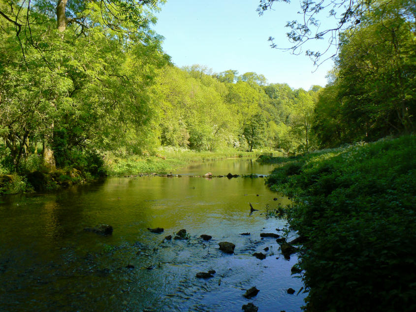 River Bradford