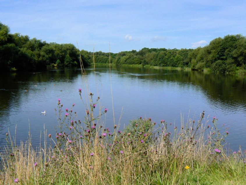 Codnor Park Reservoir