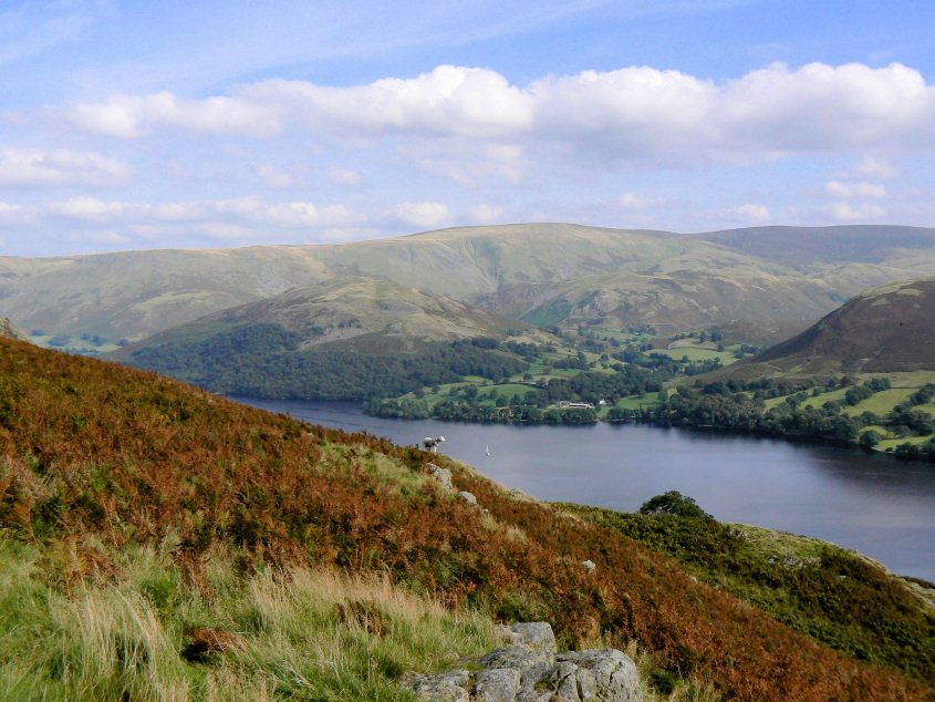 Hallin Fell