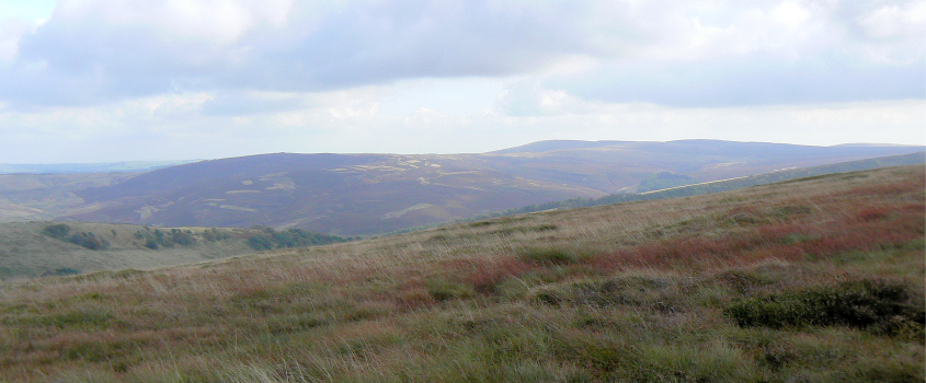 Wild Moor & Goyt's Moss