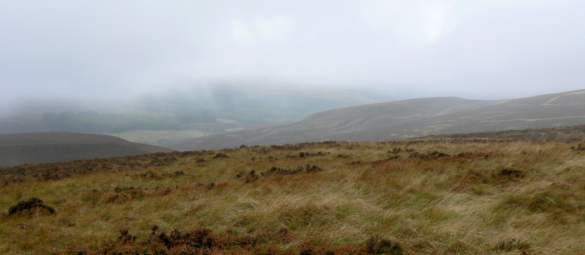 Goyt's Moss