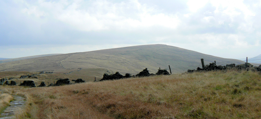 Shining Tor