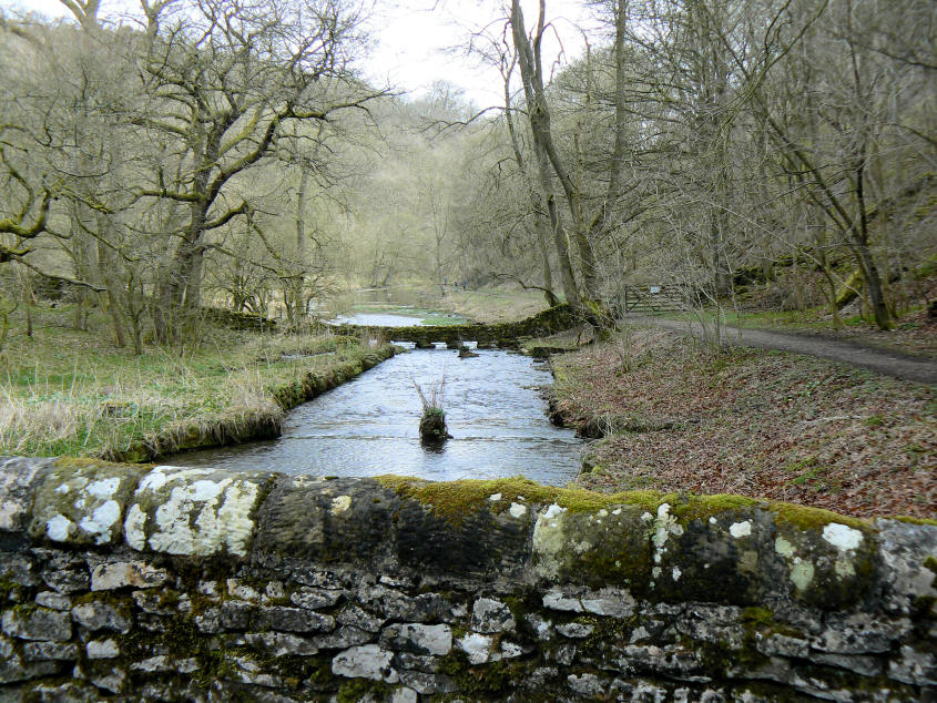 Bradford Dale