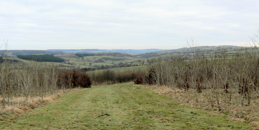 Towards Stanton Moor