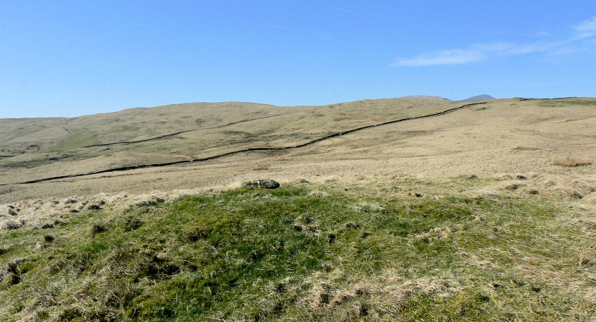Cocklaw Fell's summit