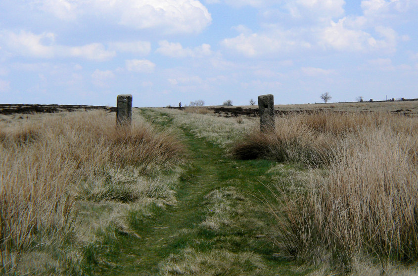 Nell Croft Field