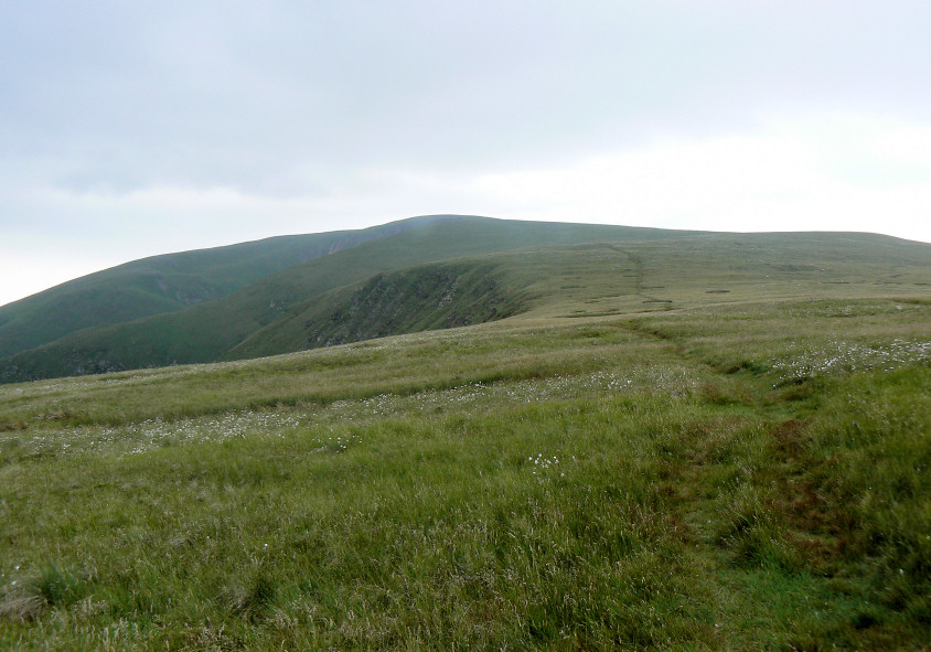 Whitecombe Screes