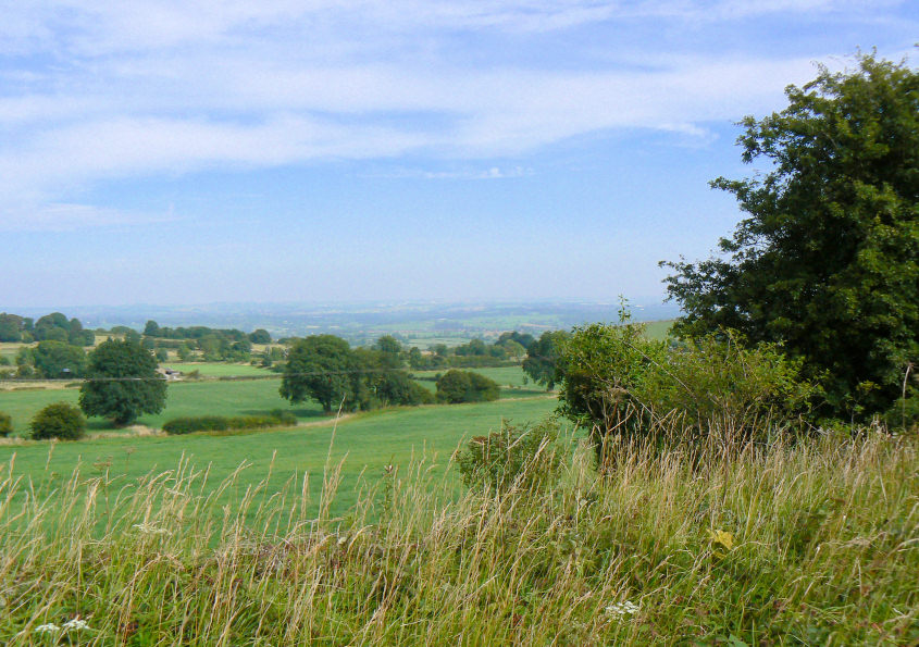 Edge Moor