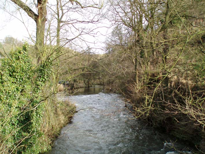 River Dove from Milldale