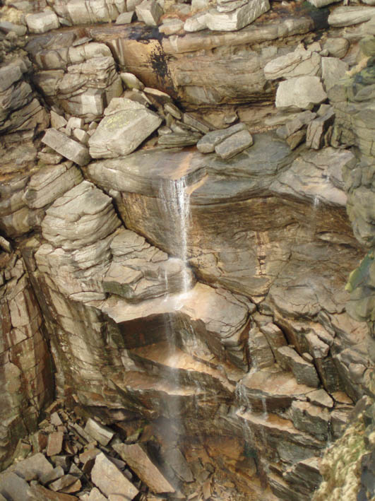 Kinder Downfall