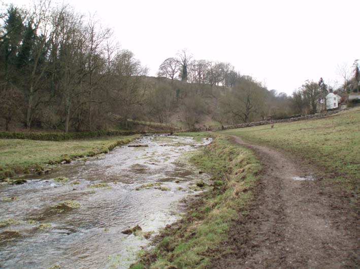 Bradford Dale