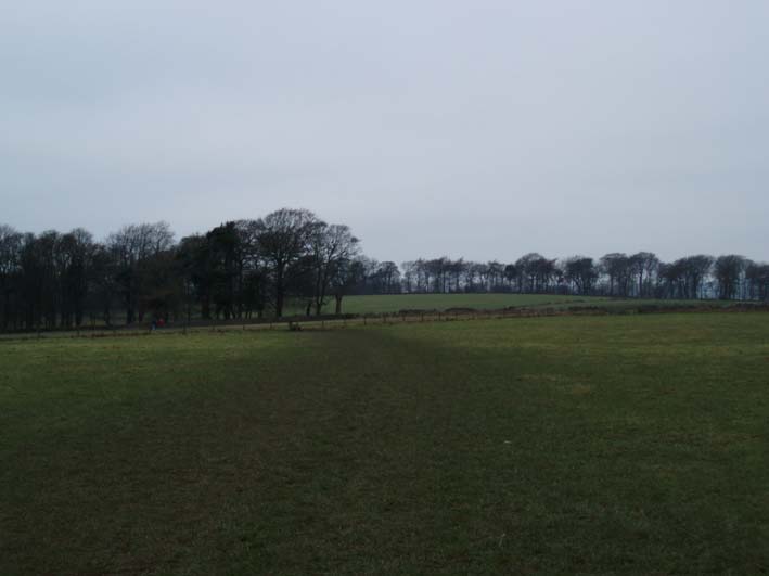 Low Moor Wood