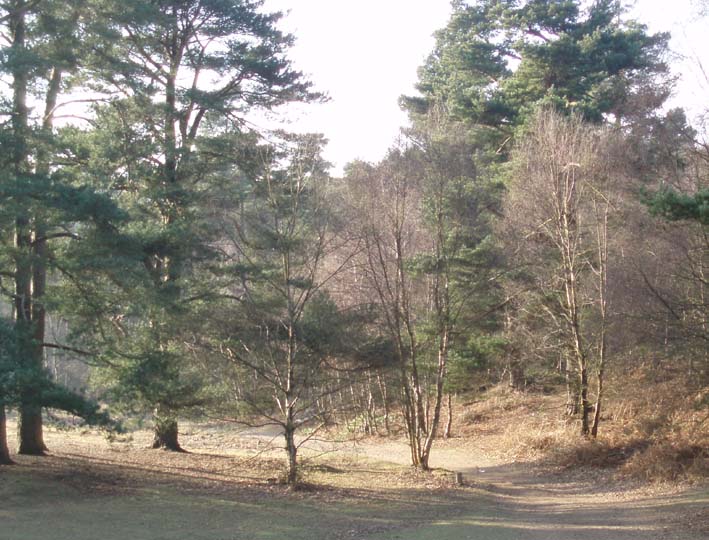 West from Leith Hill