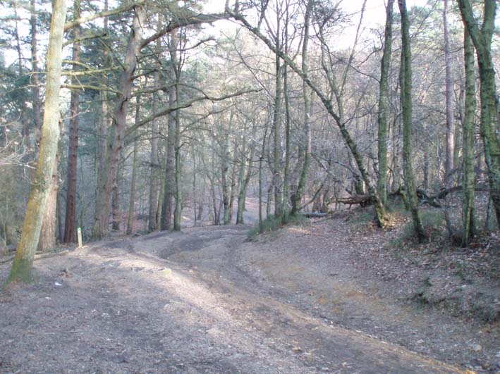 Leith Hill