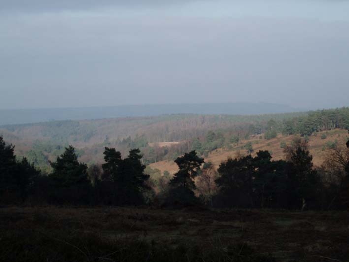 North from Leith Hill