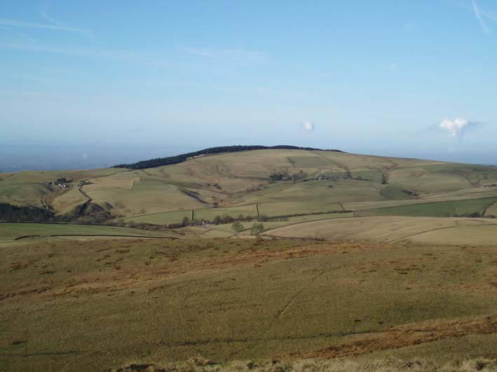 Macclesfield Forest