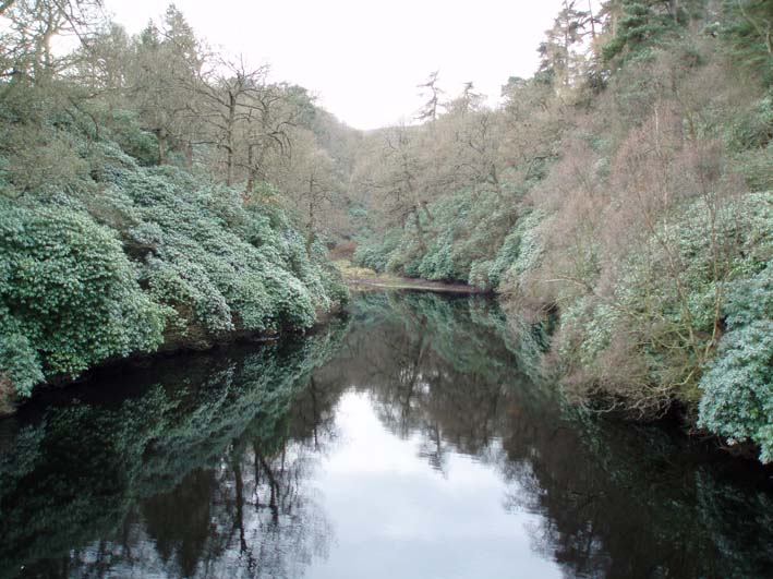 View from Shooter's Clough bridge