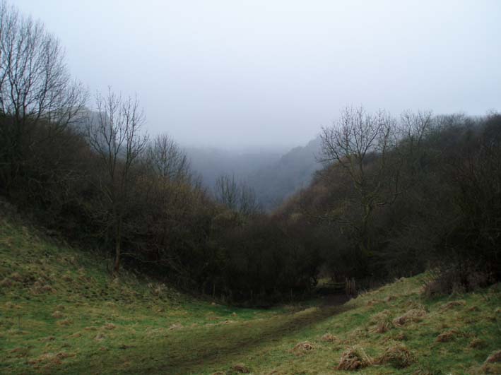 Above the Manifold Valley