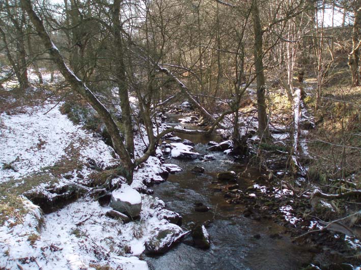 Hollow Meadows Brook