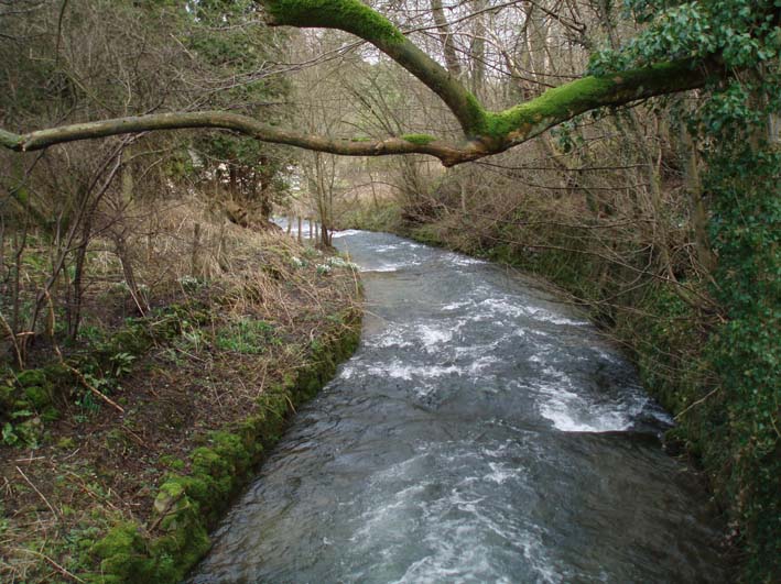 Bradford River