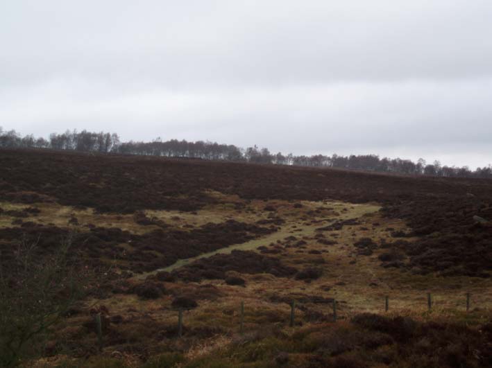 Stanton Moor