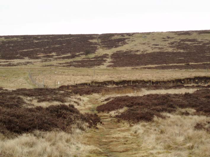 Longstone Moor