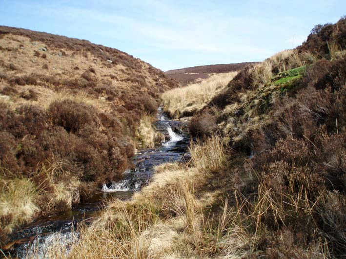 Coldwell Clough