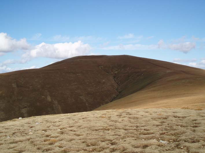 Great Dodd