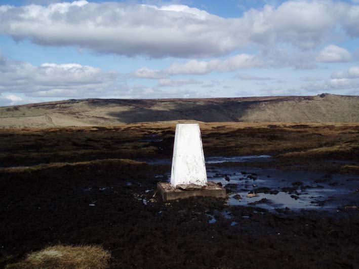 Brown Knoll Trig