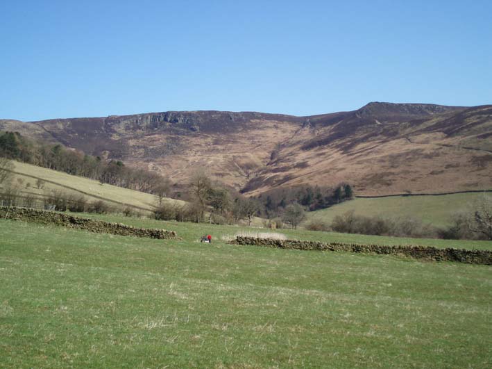 Nether Tor