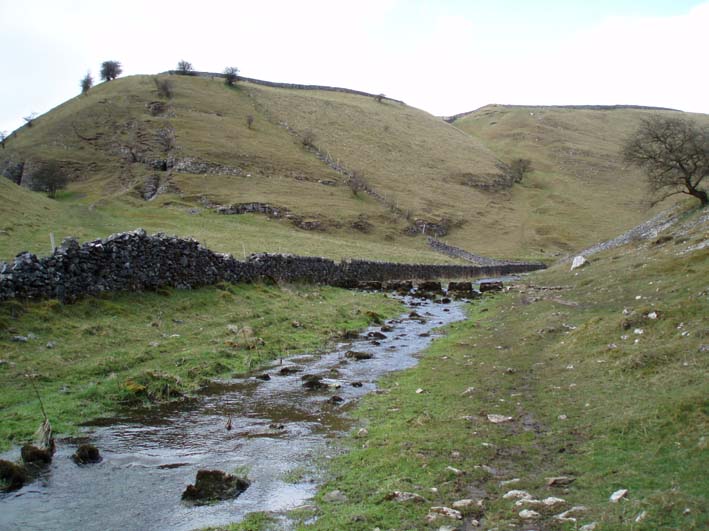 Tansley Dale