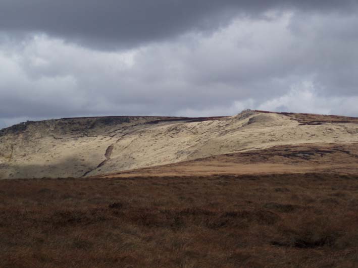 Higher Shelf Stones