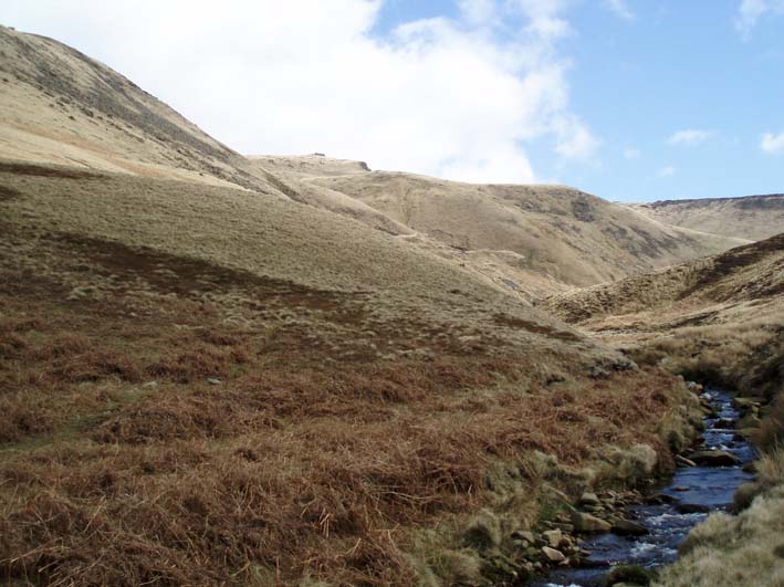 Lower Shelf Stones