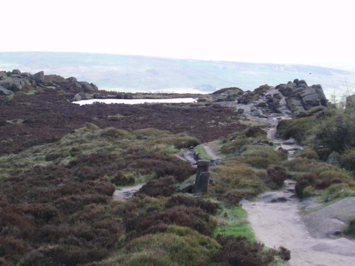 Doxey Pool