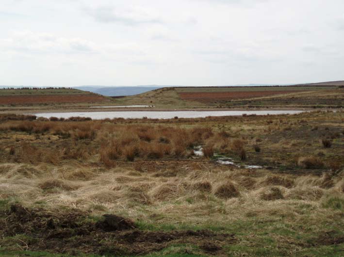 Barbrook Reservoir