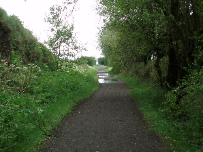 High Peak Trail