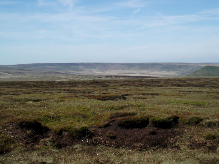 Across Broadhead Moss