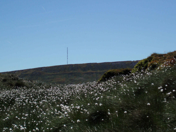 Holme Moss Transmitter