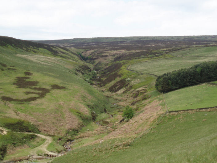 Ogden Clough