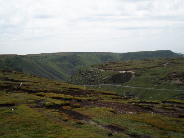 Stable Stone Brow