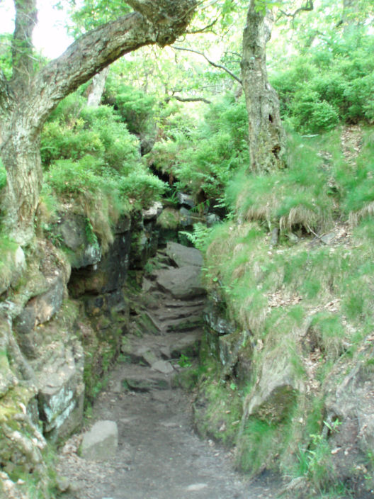 Lud's Church entrance